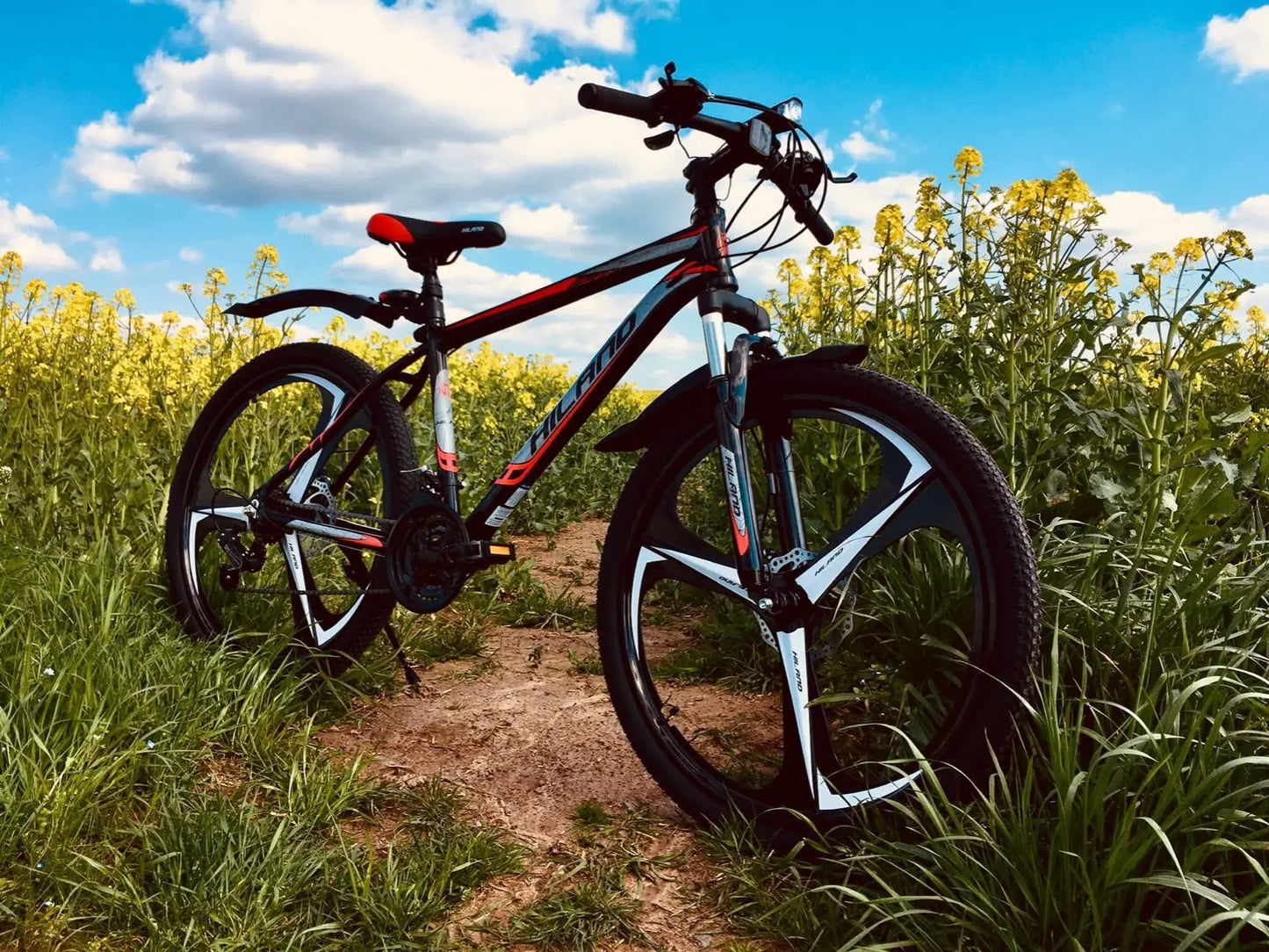 Mountain Bike, 21 Speed Aluminum Alloy Suspension Fork - My Store