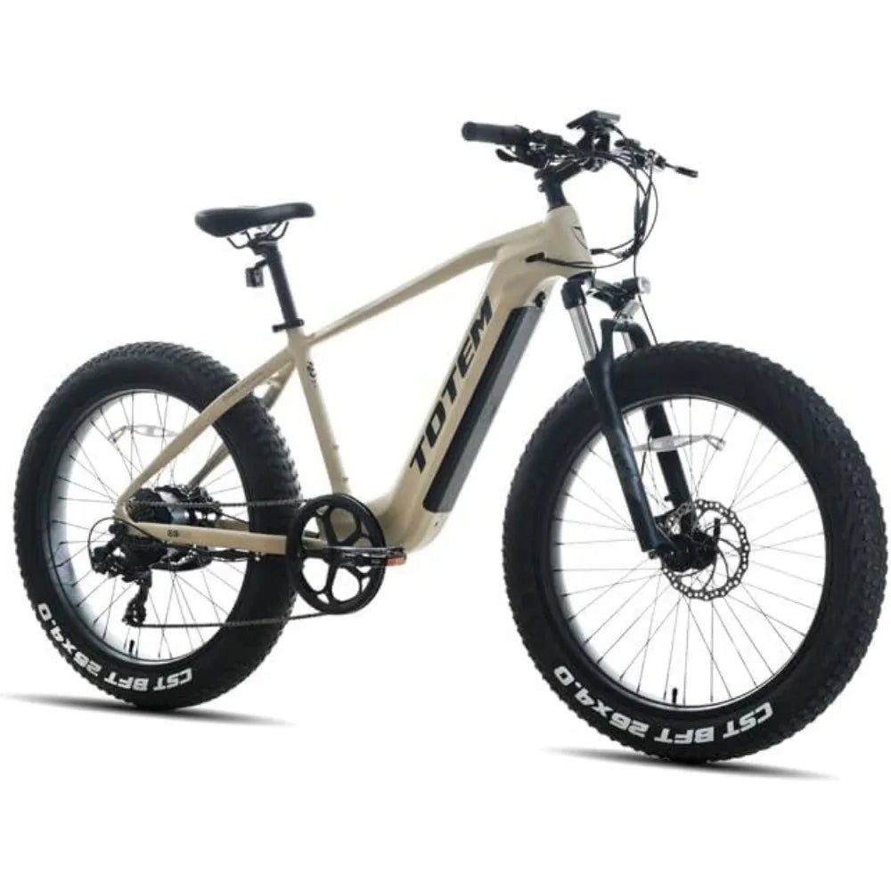 Adult Electric Bike 750W Fat Tire - My Store